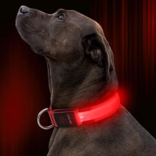 Illumifun LED Куче Јака, USB Полнење Блескав домашно Милениче Безбедноста Јака, Прилагодлив светне Јаки за Вашите Мали, Средни и