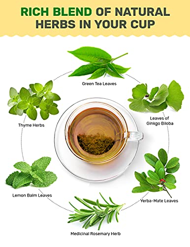 AprikaLife - Фокус и Концентрација Билен Чај Природни Хербални Чај Создадена од страна на Билкари - Yerba-Мате, маточина, Ginko